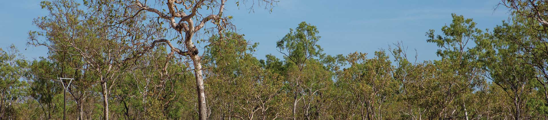 Y5 Music 120902 SoS CentralArnhem 00012