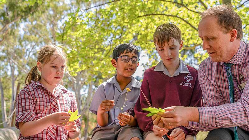 WS embed description v2