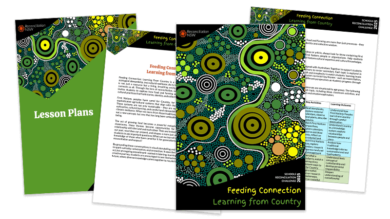 promo module custom resources v2